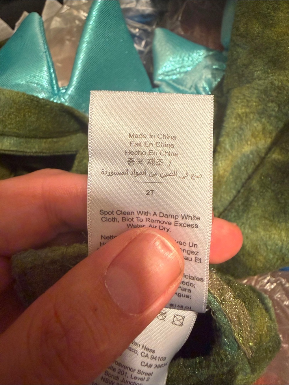 Pottery Barn Kids Green TRex Dinosaur Costume - Picture 3 of 7